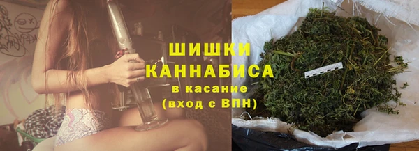 тгк Богородицк