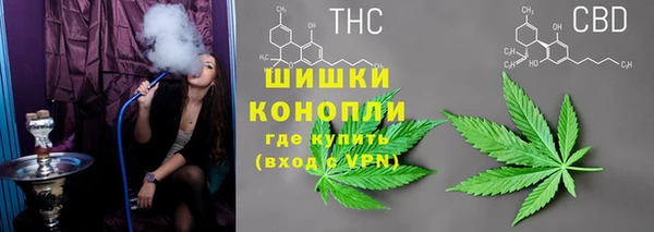 тгк Богородицк