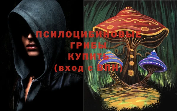 PSILOCYBIN Богородск