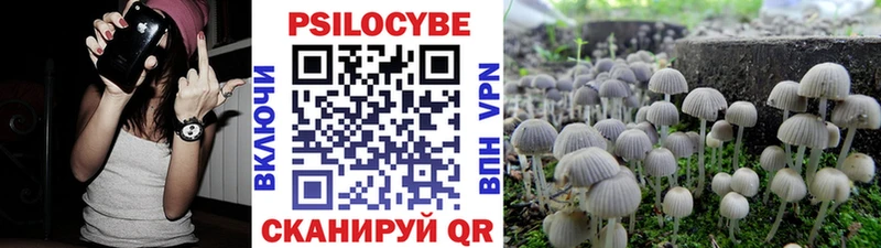 Галлюциногенные грибы прущие грибы  закладки  Нарткала 